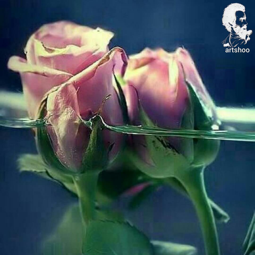 آموزش نقاشی رنگ روغن